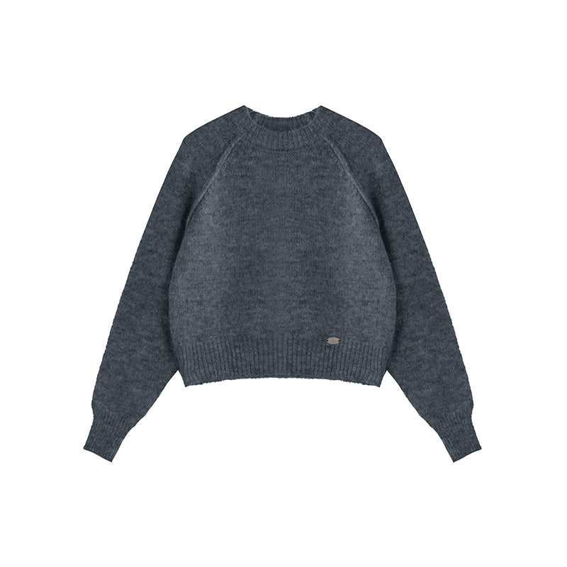 Brown Crewneck Pullover Top