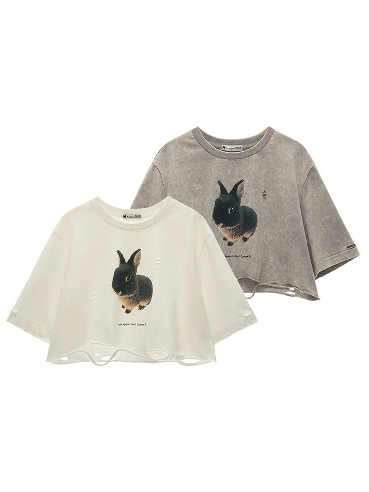 Summer Rabbit Top