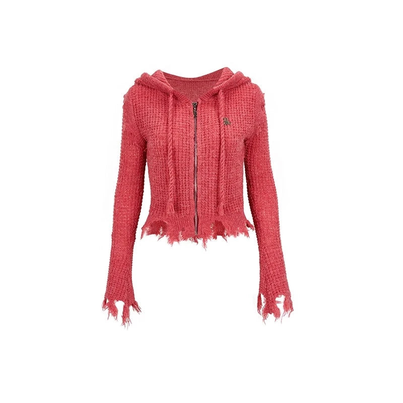 Cropped Hooded Knit Top