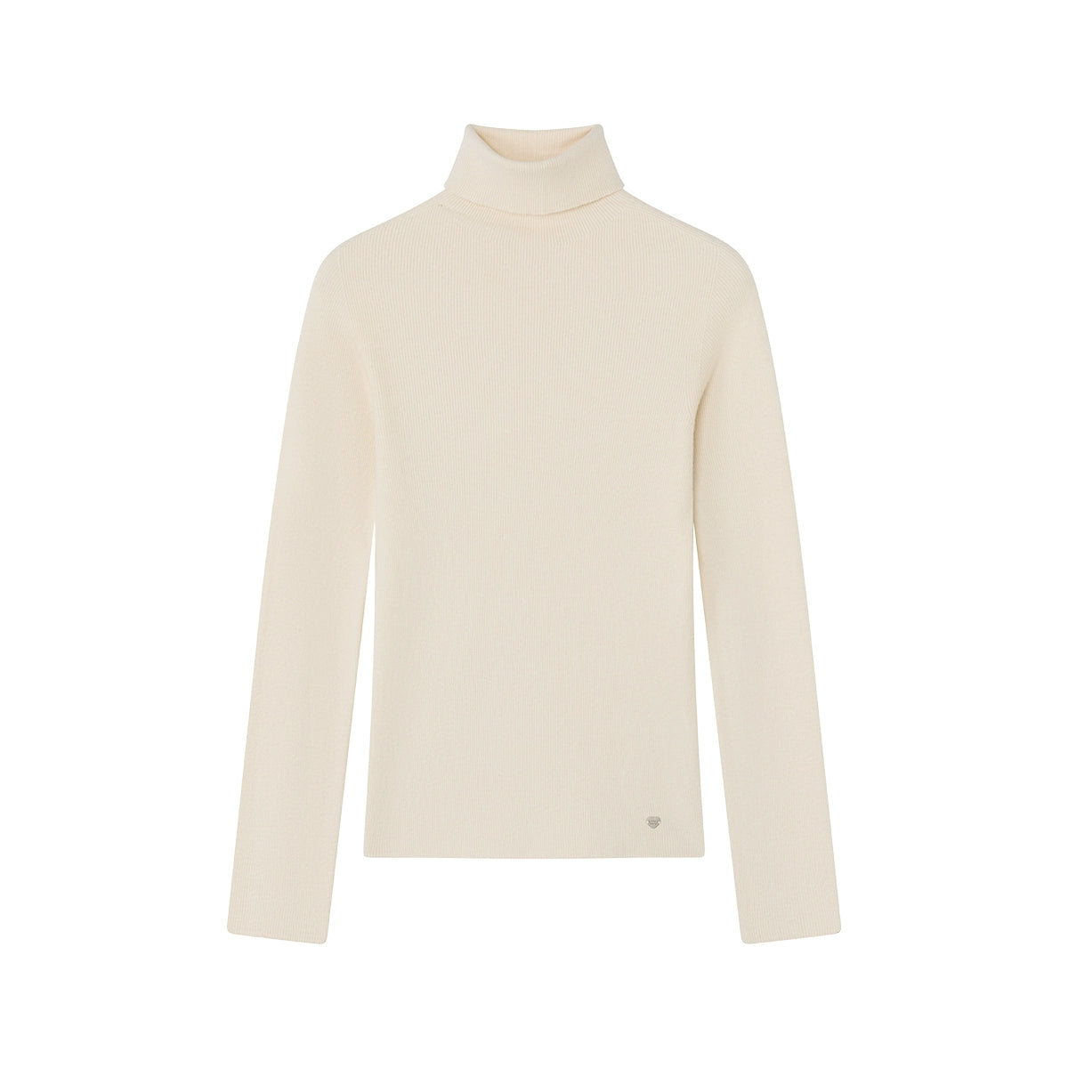 Winter Colorist Turtleneck Top