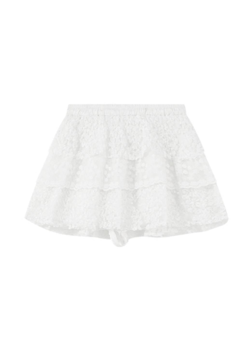 Floral Lace Skater Skirt