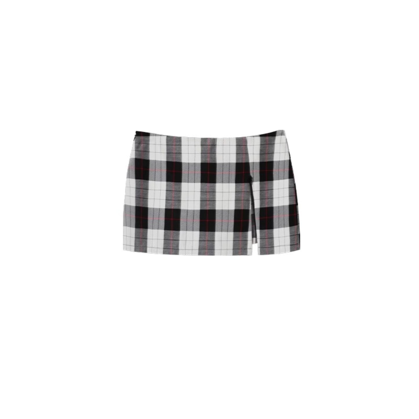 Waist Fit Mini Skirt