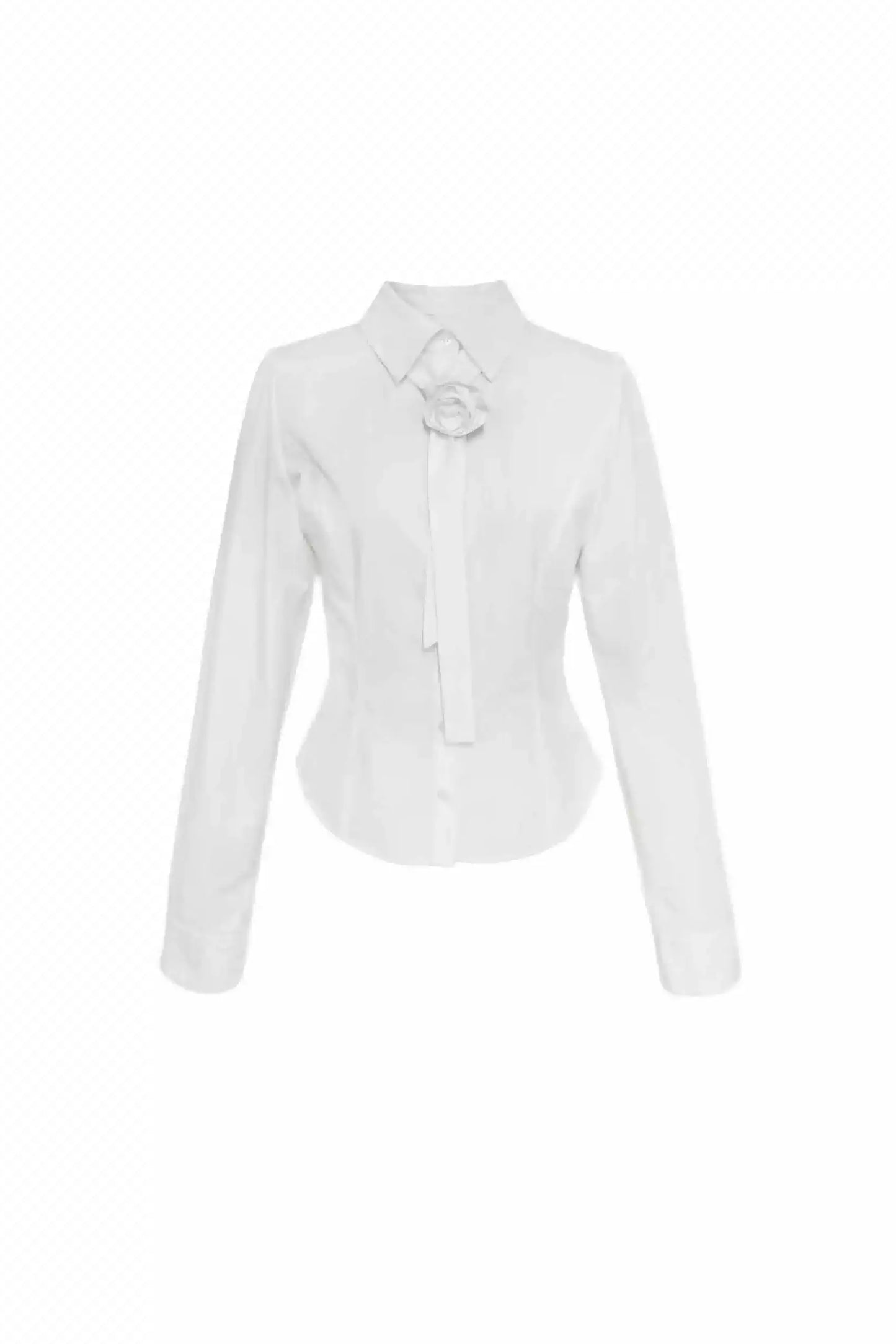 Kollegiales Krawatten-Taille Hemd-Set-Up 