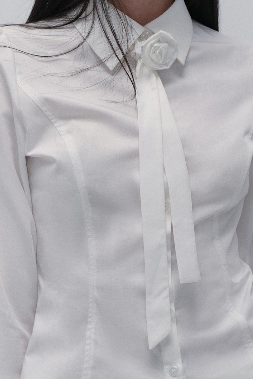 Kollegiales Krawatten-Taille Hemd-Set-Up 