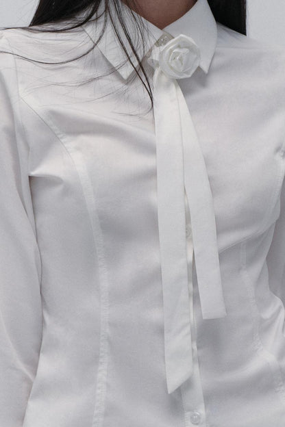 Kollegiales Krawatten-Taille Hemd-Set-Up 