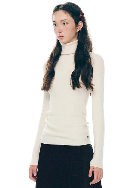 Winter Colorist Turtleneck Top