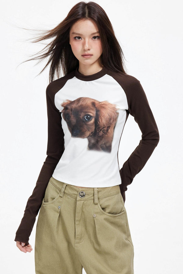 Puppy Print Raglan Slimming Knit Top