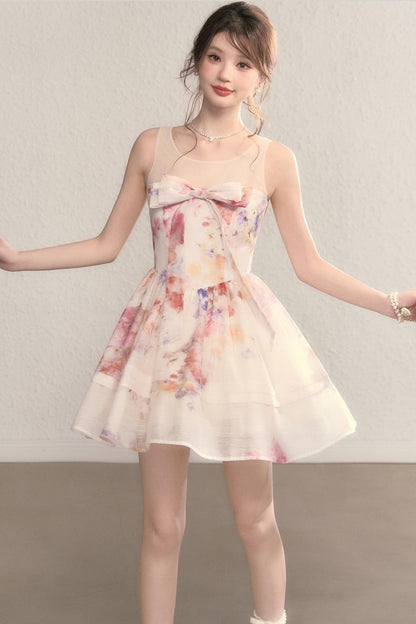 Unheard Princess Waist Dress