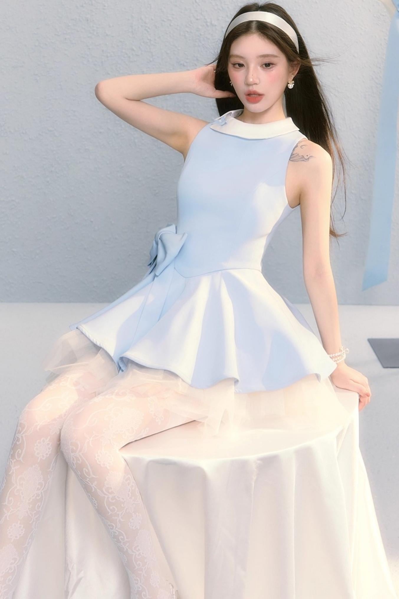 Fugitive Princess Mesh Panel Ballet Dress