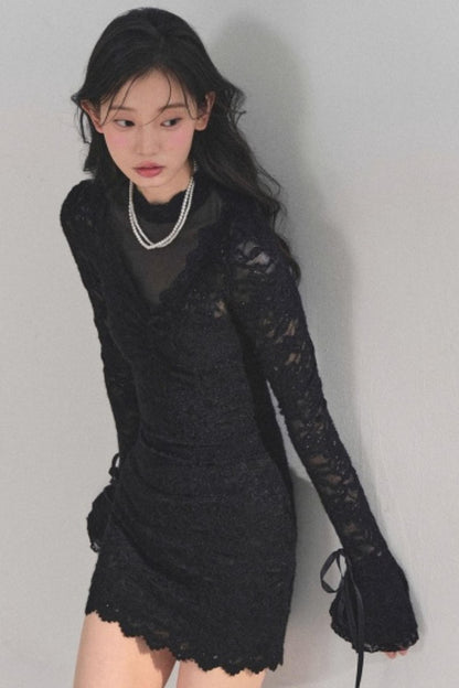 French Lace Mesh Dress