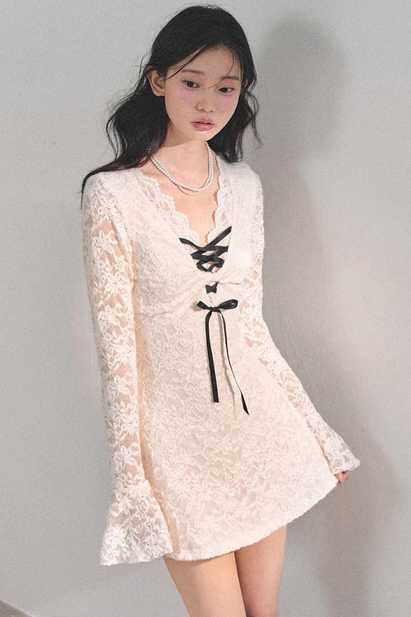 Elegant Lace Puffy Dress