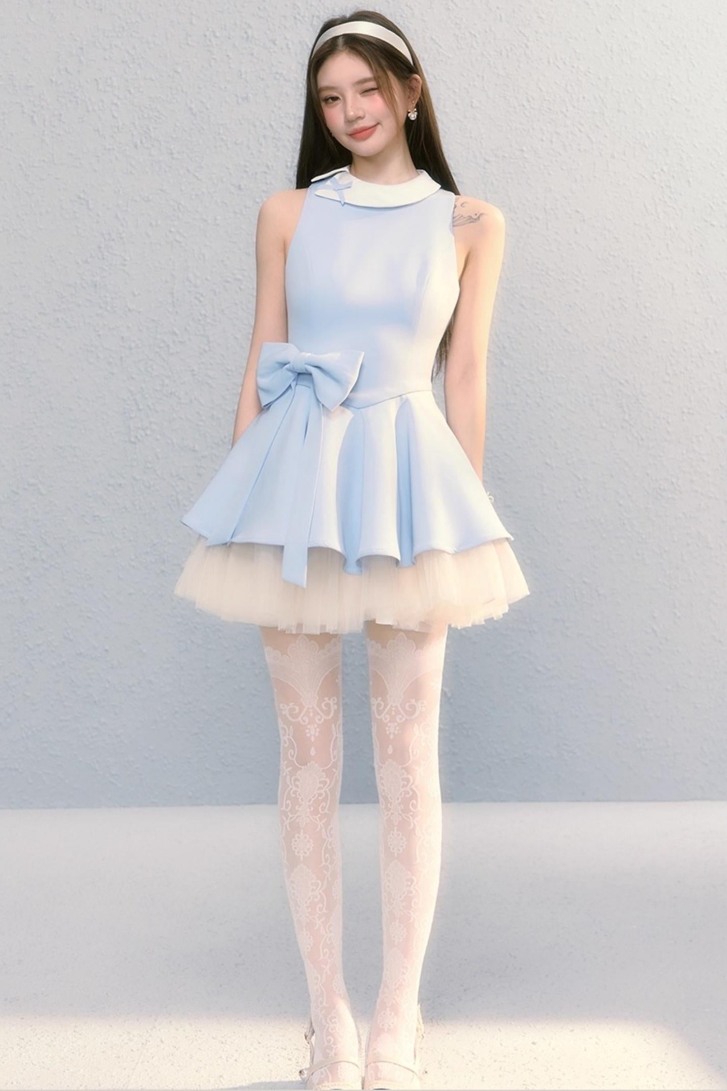 Fugitive Princess Mesh Panel Ballet Dress