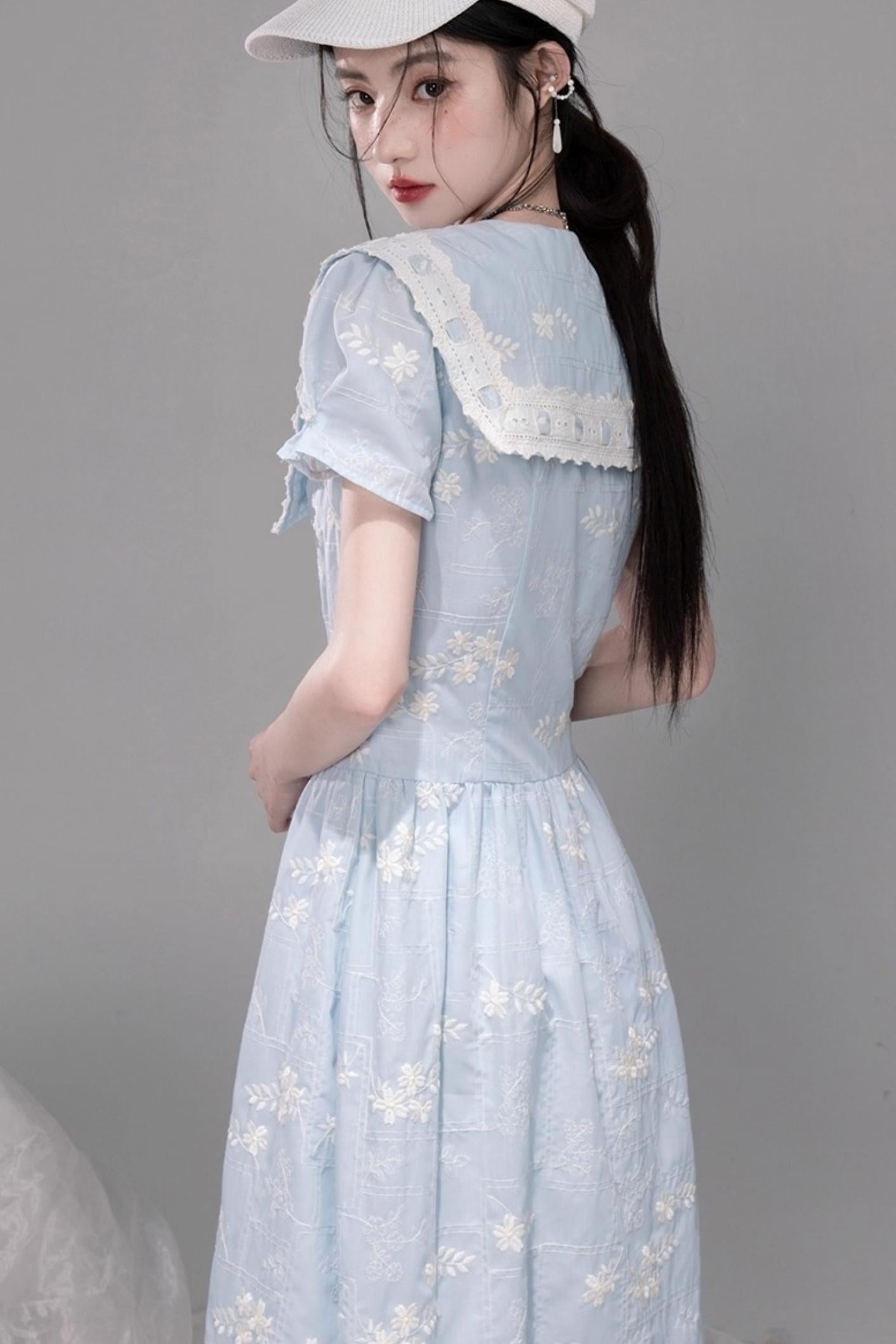 Leisurely Blue Collar Dress