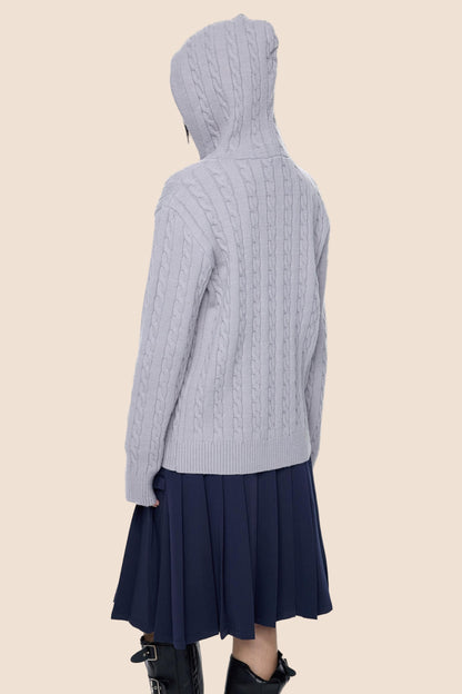 Twisted Embroidery Hooded Sweater