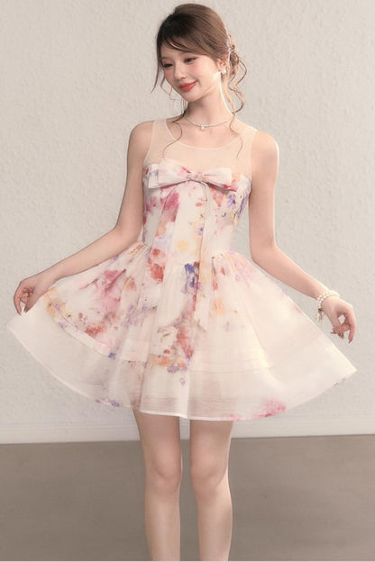 Unheard Princess Waist Dress