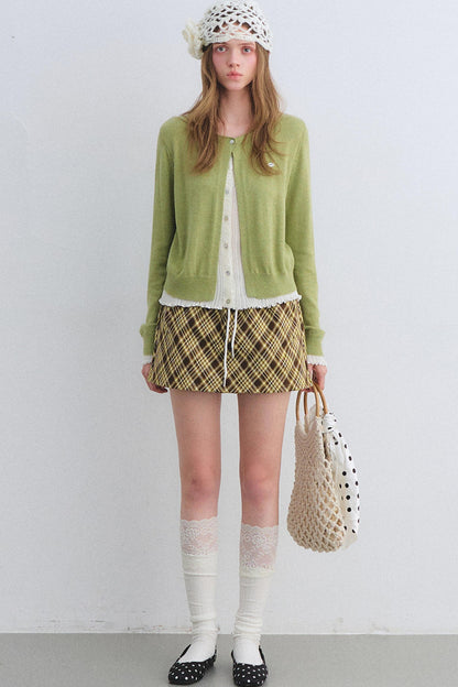 Sweet and Spicy A-line Mini Skirt