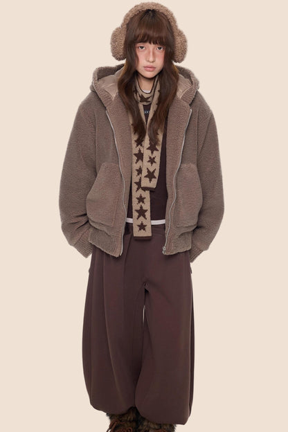 Imitation Lamb Wool Hooded Jacket