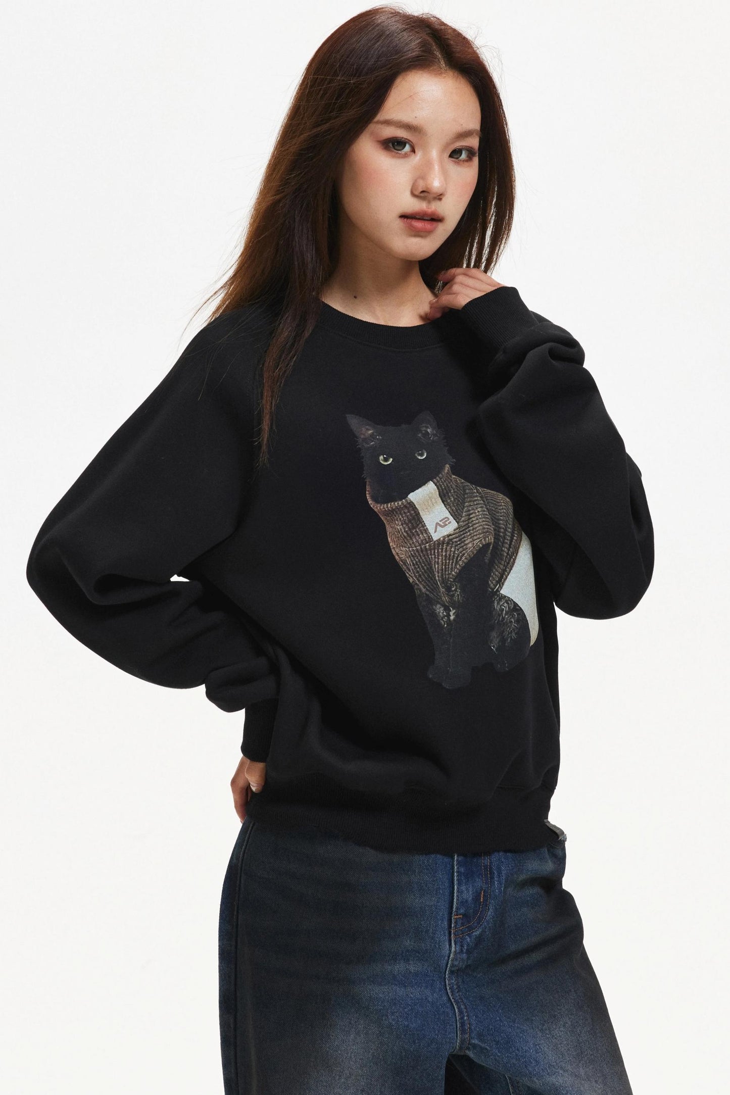 Kitten Print Raglan Sweater