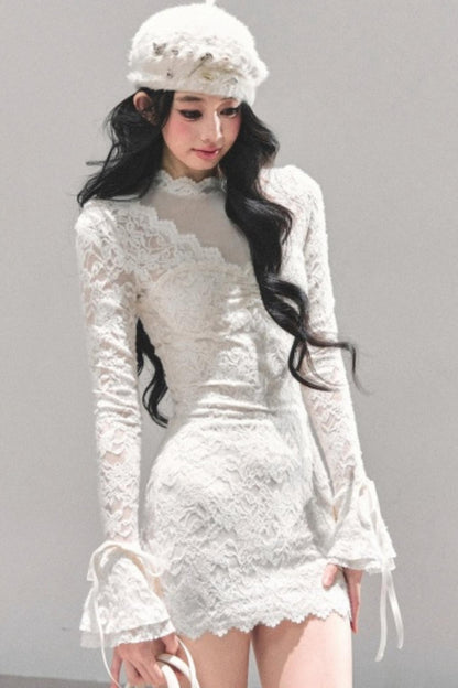 French Lace Mesh Dress
