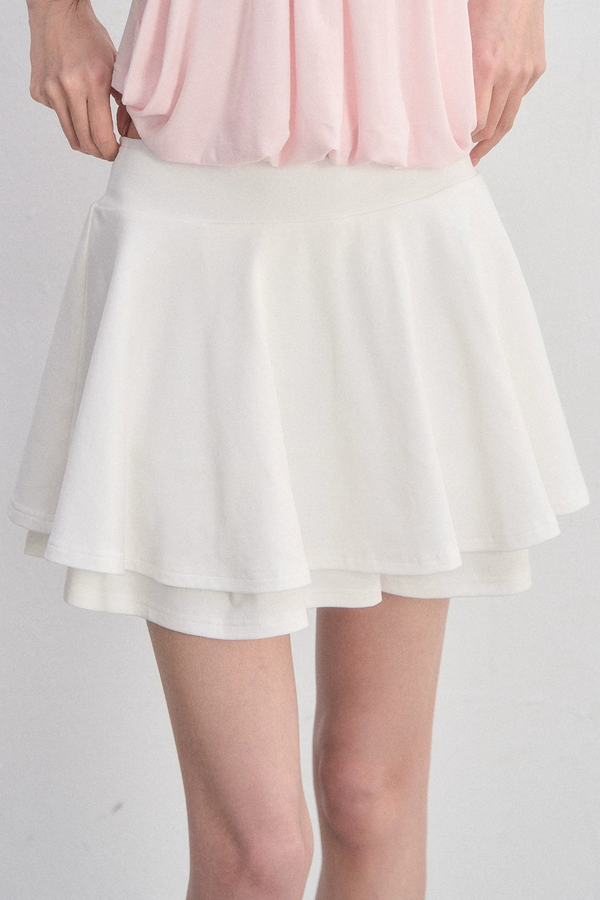 Embroidered Pleated A-Line Skirt