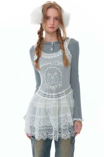 Embroidered Mesh Lace Dress Style Top