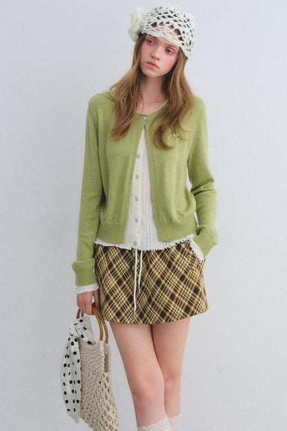 Sweet and Spicy A-line Mini Skirt