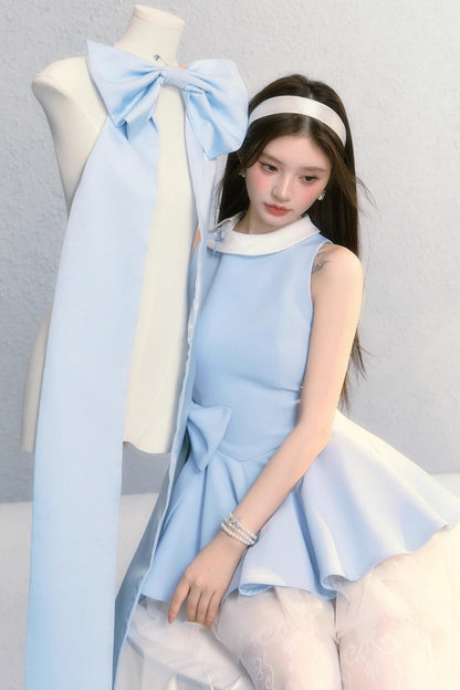 Fugitive Princess Mesh Panel Ballet Dress