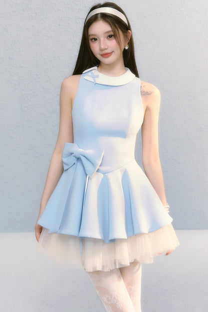 Fugitive Princess Mesh Panel Ballet Dress