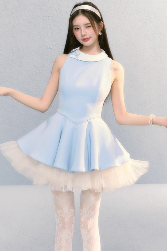 Fugitive Princess Mesh Panel Ballet Dress