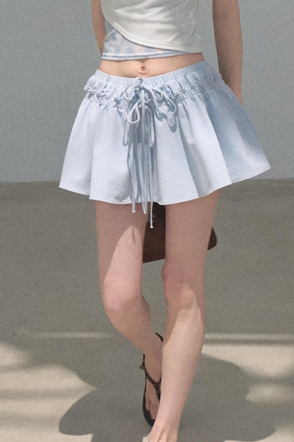 Embroidered Puffy A-Line Skirt