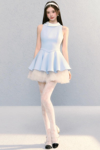 Fugitive Princess Mesh Panel Ballet Dress