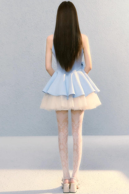 Fugitive Princess Mesh Panel Ballet Dress