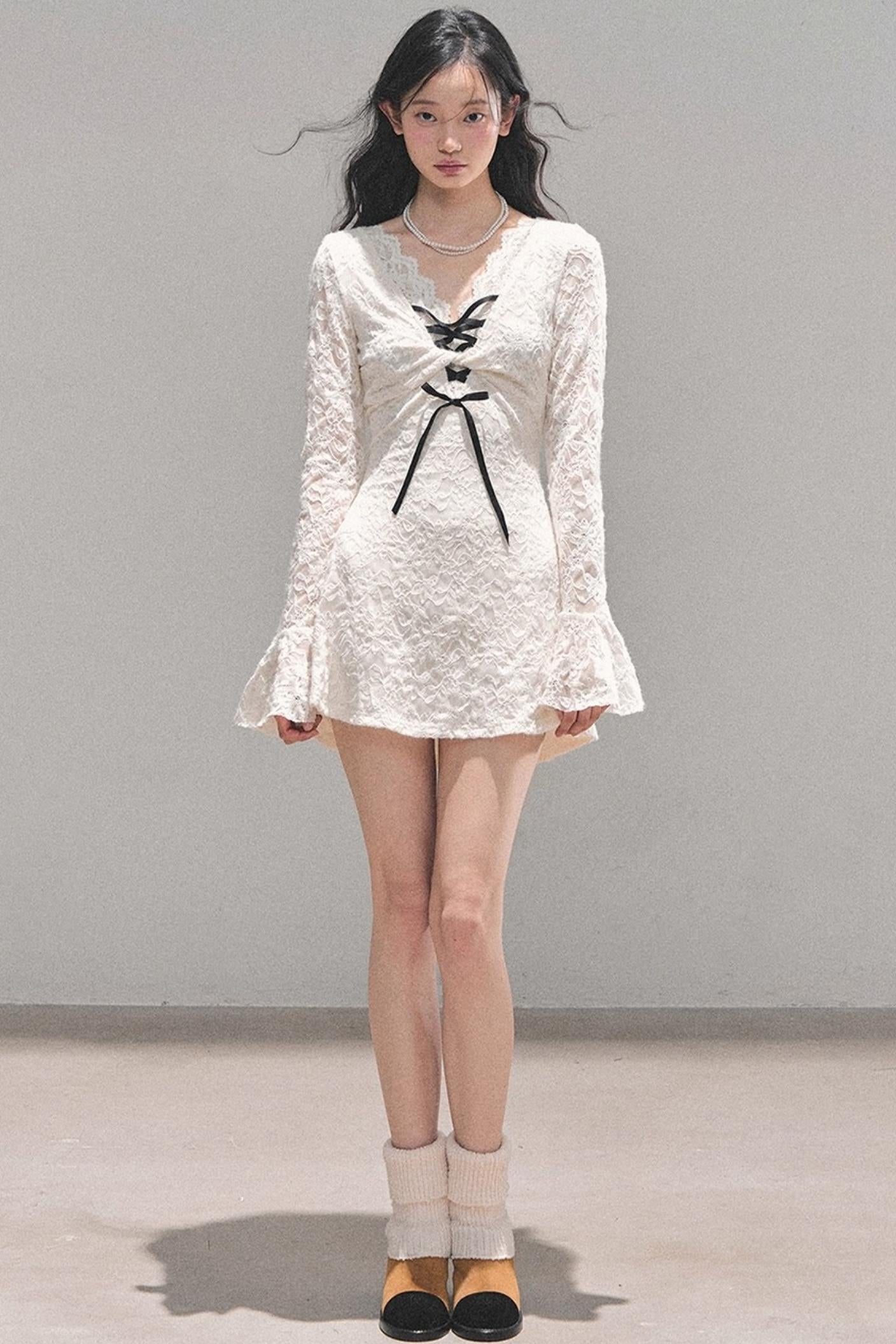 Elegant Lace Puffy Dress