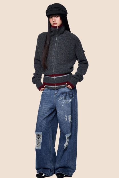 Stand Neck Stripe Sweater Jacket