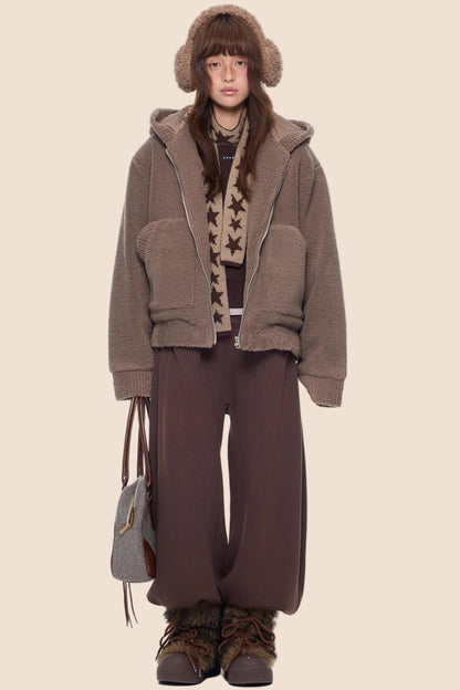 Imitation Lamb Wool Hooded Jacket