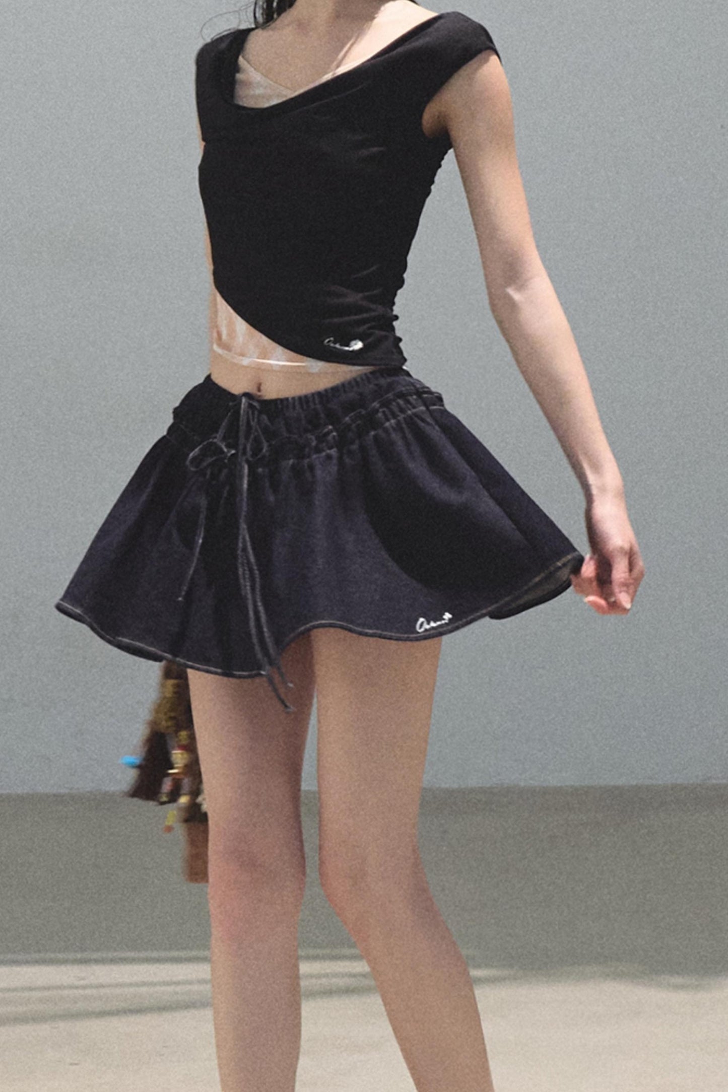 Embroidered Puffy A-Line Skirt
