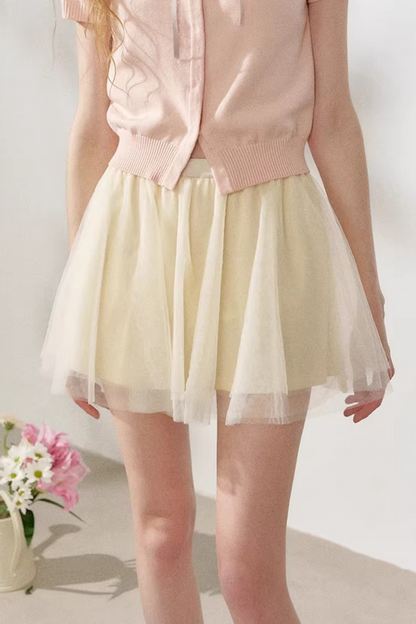 Apricot Mesh A-Line Skirt