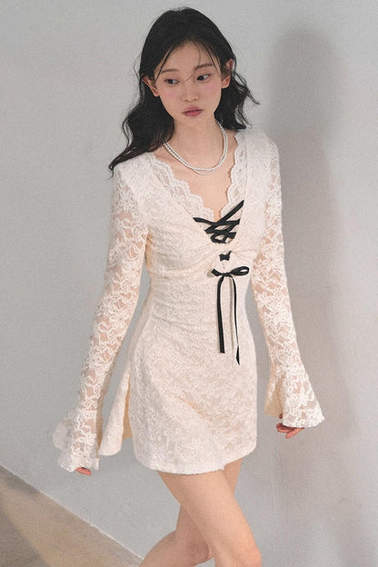 Elegant Lace Puffy Dress