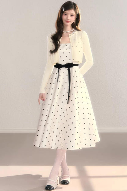 French Polka Dot A-Line Dress