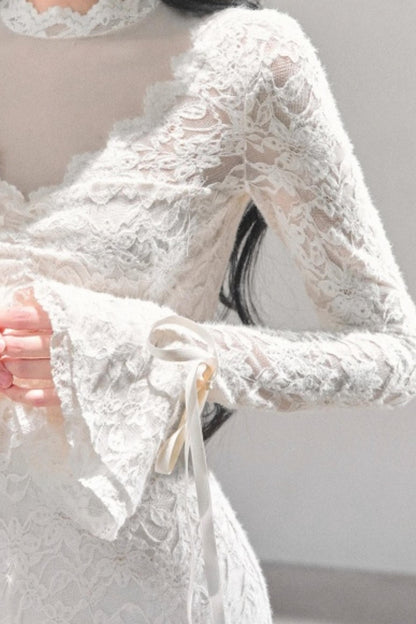 French Lace Mesh Dress