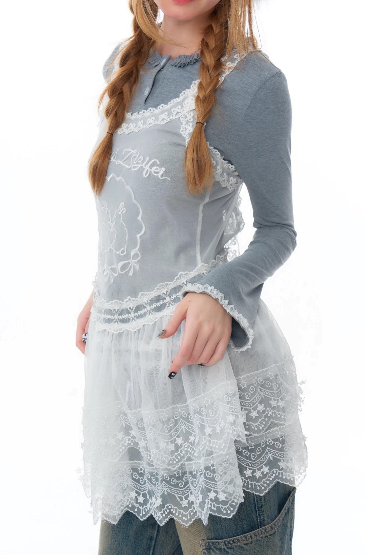 Embroidered Mesh Lace Dress Style Top