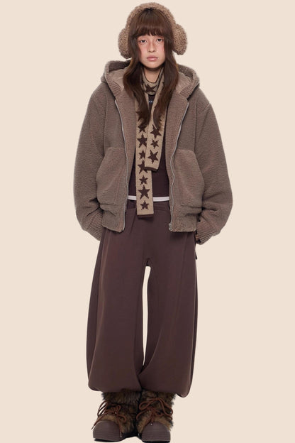 Imitation Lamb Wool Hooded Jacket