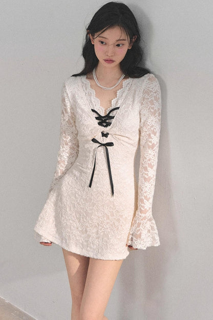 Elegant Lace Puffy Dress