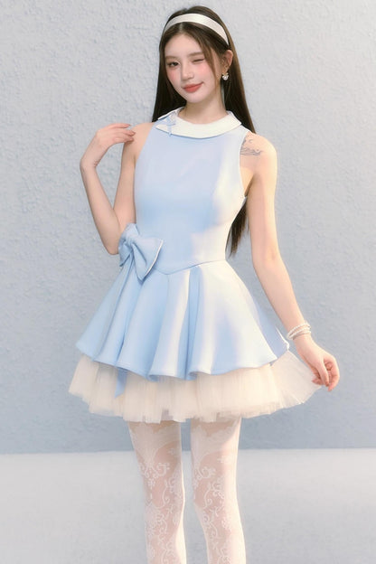 Fugitive Princess Mesh Panel Ballet Dress