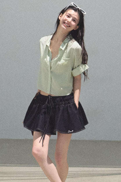 Embroidered Puffy A-Line Skirt