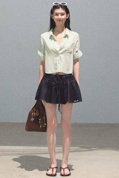 Embroidered Puffy A-Line Skirt