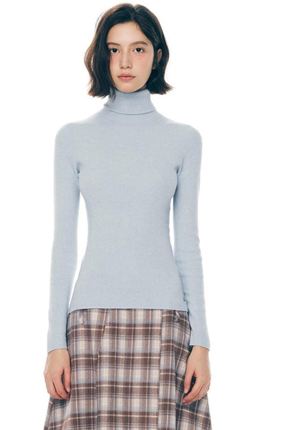 Winter Colorist Turtleneck Top
