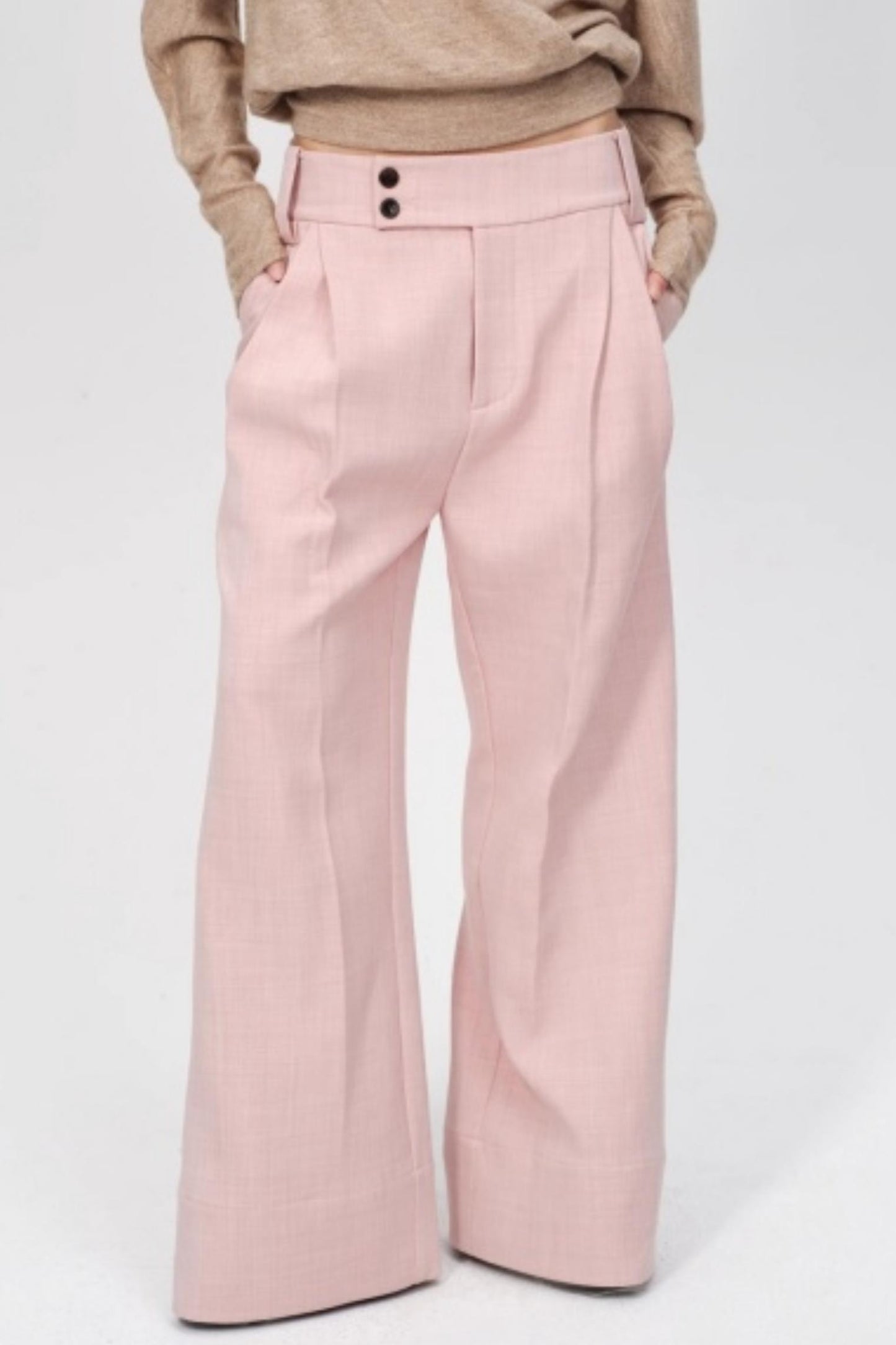 Pleated Low Rise Wide-Leg Pants