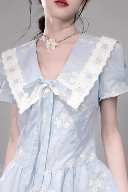 Leisurely Blue Collar Dress