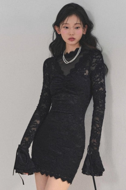 French Lace Mesh Dress